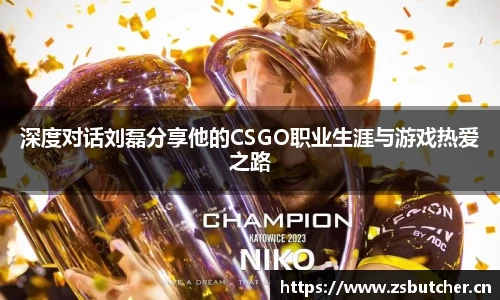 深度对话刘磊分享他的CSGO职业生涯与游戏热爱之路